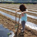 아호동농장 이미지