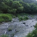 2932 | [가평명지산카라반 글램핑] 계곡있는 가평글램핑 가평카라반 찐 후기