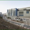 더화이트호텔리조트 이미지