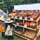 유동농장 이미지