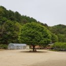 담박 이미지
