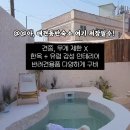 미미몽몽