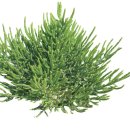 목포신안군농협조합공동사업법인 이미지