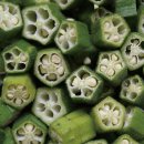 더오크라 이미지