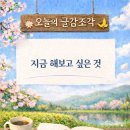 네일해 지금 브런치