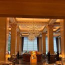 호텔향기 | 도심 속 달콤한 망고 향기: 롯데호텔 서울 망고 뷔페 후기