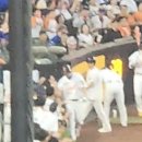 잘하자 돼지야 이미지