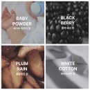 샴푸하는 강아지 이미지