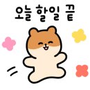더스타프리테니스아카데미