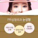 고려피알 이미지
