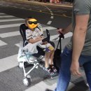 252 | 중랑 카페 252 후기｜아이와 가기 좋은 중화동 키즈프렌들리 카페