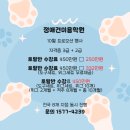 달리애견 이미지