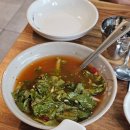 오아시스가든 | 충북 영동 천태산 인근 매운탕 맛집 &#39; 오아시스가든&#39; 후기