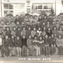 월등초등학교 이미지