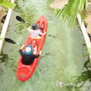 힐링카약파크비체올린 이미지