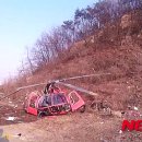 진화주 이미지