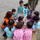 원당병설유치원 이미지