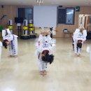 조례태권도장 이미지