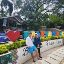 올드 트리 이미지