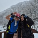 한라산 Daum카페