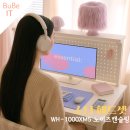 소니 헤드셋 후기 WH-1000XM5 노이즈캔슬링 헤드폰 가격 비교 할인