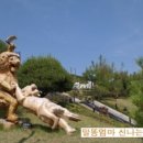 이사부 이미지