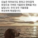 예체안경 | 2025 10(2)