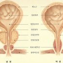 준비뇨기과의원 이미지