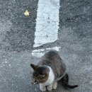 어달을 담다 | 11월 겨울 묵호 뚜벅이 1박 2일 여행, 어달을담다 오션뷰 숙소 맛집 후기