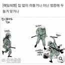 천주교대구교구 소유 ＜매일신문＞, 5.18민주운동 모욕 만평 실어 논란 이미지