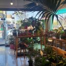 플랜트숍동산