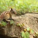 율수재(聿修齋) | 광주 율수재(聿修齋)