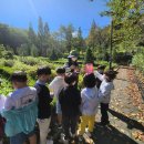 중동반석유치원 이미지