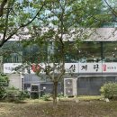 광주 복날 몸보신 맛집 초애삼계탕 (초복 당일 방문후기)