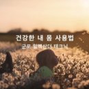 알렉산더테크닉자세;움직임교육센터