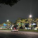 반야월삼거리 이미지