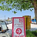 고석정 | 철원 고석정 꽃밭 축제 2025 무료입장 후기