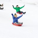 예산장갑 이미지