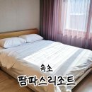팜파스리조트 | 속초 가성비 숙소 팜파스 리조트 골드클래스C 내돈내산후기