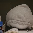 그린가설