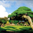 제주도가 이미지