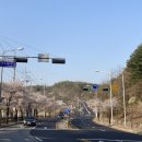 송산 파리바게트 앞 이미지