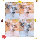 이쁘개(내포신도시점) 이미지