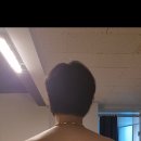 루이짐 이미지