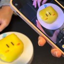 충효사 | 대전 꿈돌이 케이크 카페 탄방동 타프로드