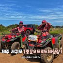 제주도 서귀포 놀거리 액티비티 atv 버기카 승마체험 중문오프로드체험장 추천 후기