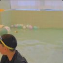 연세 키즈풀 이미지