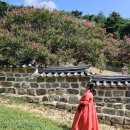 남간정사 | 한복여행 - 배롱나무 명소 후기 - 대전 남간정사, 논산 종학당, 명재고택, 돈암서원, 군산 옥구향교...
