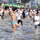 제38회 부산 북극곰축제 개최…&#39;차가운 겨울 바다로&#39; 이미지