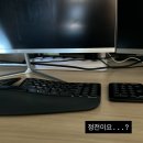 더뽑기샾(붕어빵 오뎅) | [직장] 출근이란 걸 하다